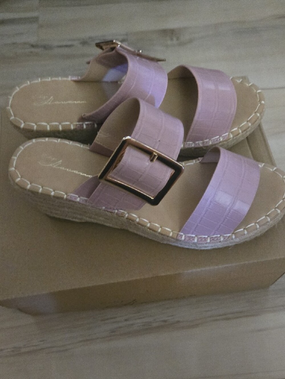 Vintage Havana Blush Pink Slide Sandals with Buckle